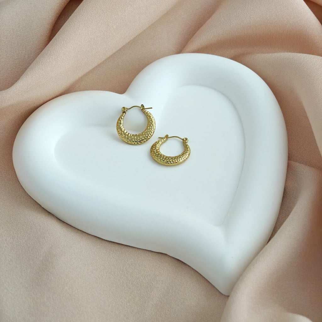 Anti Tarnish Crescent Hoop Earrings – Korean Jewellery